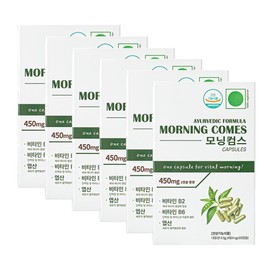 Morning Coms 비타민B  엽산 450mgX60정 Vitamin B Folic Acid 450mg X 60 Tablets