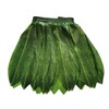 LITTLE FEATHER Hawaiian Ti Leaf Hula Green Skirt Luau Party