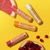 Burt's Bees Bálsamo Labial Sabor a Frutas - Superfruit Lipbalm