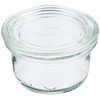 Marks International WE-755 MOLD SHAPE Glass Storage Container Canister 1.7