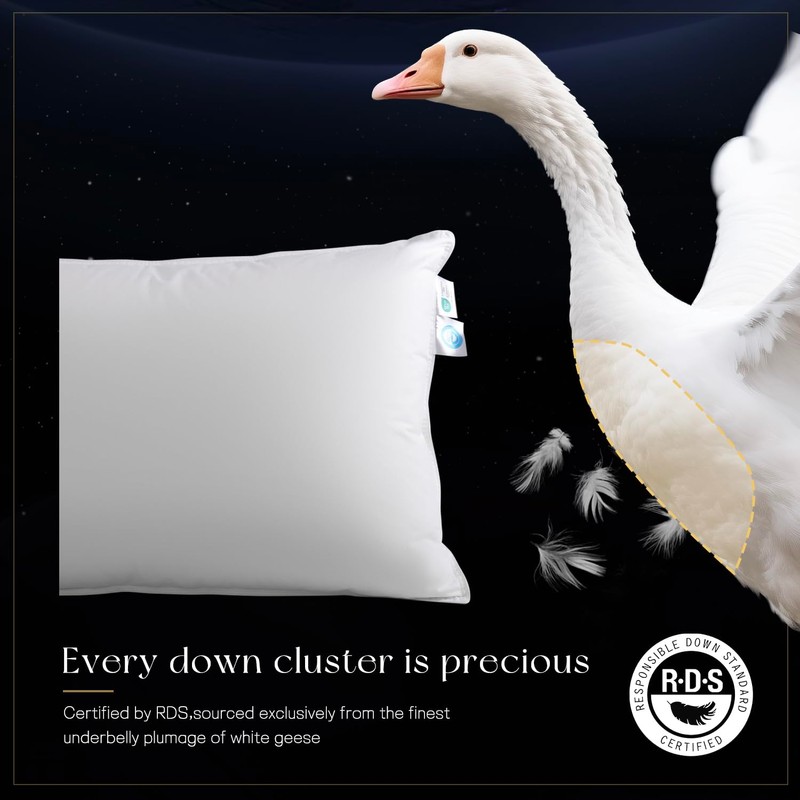 Acnalboma Luxury Goose Down Pillow Queen, Hotel Quality Bed Pillows
