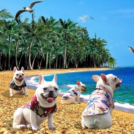 4 Pack Hawaiian Dog Shirt, Breathable Summer Sweatshirts Dog Clothes, Beach Pet Shirt Dog Polo T-Shirts for Small/Medium Dogs Cats, 4 Different Designs, Medium