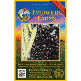 Everwilde Farms - 100 Black Turtle Dry Bean Seeds - Gold Vault Jumbo Seed Packet