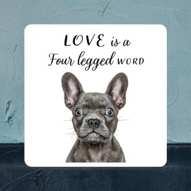 Global Designs Frenchy Gruff Pawtraits Dog Photography Printed Wooden Block Dog Themed Home Decor