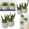 PECZEKO Matte Flower Pot, Plastic Planter, Decorative Pot for Large