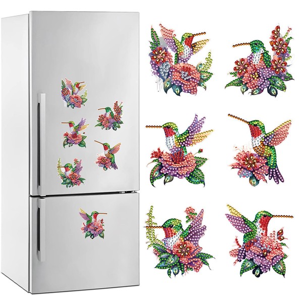 POETRYDRAW 6 Pcs Diamond Painting Magnets Special Shape Hummingbird Diamond