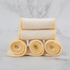 ALVABABY 12PCS Newborn Cloth Diaper Insert,Less Than 12pounds 3 Layers