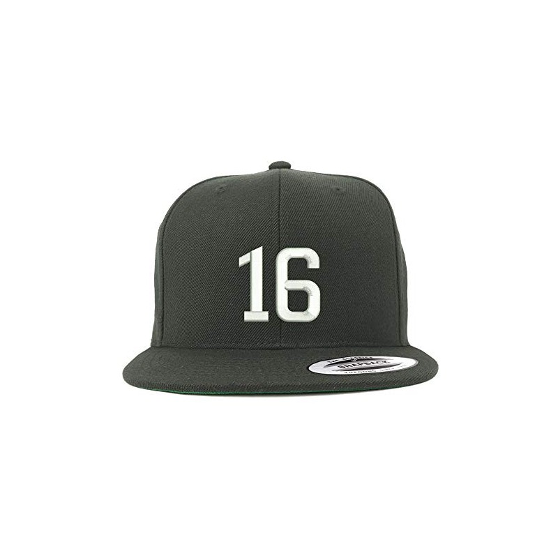 Trendy Apparel Shop Number 16 Embroidered Snapback Flatbill Baseball Cap