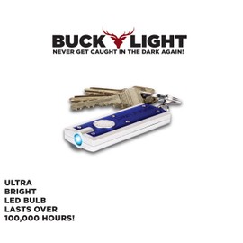 Buck Light: Powerful LED Keychain Lights, 10 Pack, Assorted Colors, Ultra Bright Flashlight, Portable Key Chain Flash Light