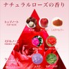 Evita Botanical Deep Moisture Gel, Natural Rose Scent, All-in-One Gel