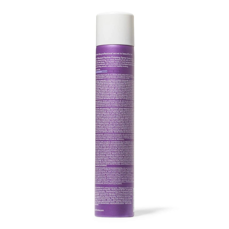 ion Flexible Finishing Spray 10 Ounce Brushable Lightweight Medium Hold