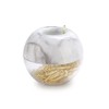 Liseng Gold Office Clips in Elegant Magnetic Marble Clip Holder,