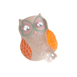 Funny Owl Hair Clip,Acetate Hair Clip,Big Claw Clip for Women,Novelty Hair Clips,Orange