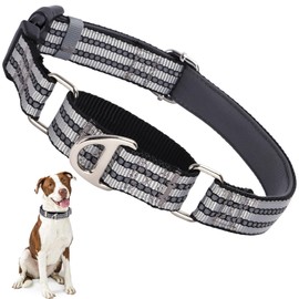MAOWUWUJOZ Martingale Collar for Dogs - Reflective Nylon No Slip Choke Heavy Duty Collar with Quick Release Buckle -Safe Fit for Training & Walking Silver S