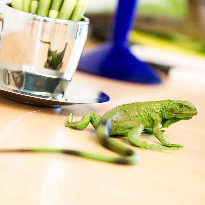 Toob Green Iguana Baby, Multi