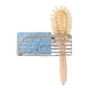 Spectrum Sink Sponge and Brush Holder with Suction Cups Ashley