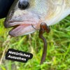 Spro Freestyle Twitch Worm Rubber Worm, Colour: Pearl