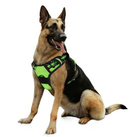 Bihotzak Arnes Dog Harness Small Medium No Pull Adjustable Breathable Reflective Dog Harness with Safety Locks (Green, M)