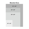 American Baby Company Heavenly Soft Chenille Security Blanket (14" x