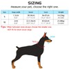 Pawaboo Dog Muzzle, Head Halter Collar for Dog, Pet Dog