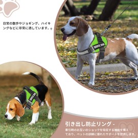 Pet Mat, Dog and Cat Leash Safety Material, Excellent Breathability: The leash material and breathability emphasize the comfort and safety of your dog or cat, supporting your pet for a comfortable