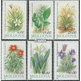 Moldawien 81-86 (complete.issue.) unmounted mint/never hinged ** MNH 1993 Flowers (Stamps for collectors) plants/mushrooms