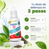 Suplemento Base Carnitina + Té Verde Nanoparticulado 30 Ml Gotero