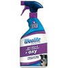 Woolite Pet Stain & Odor Remover + Oxygen Trigger, 22