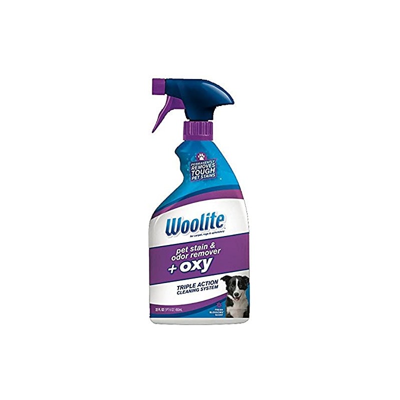 Woolite Pet Stain & Odor Remover + Oxygen Trigger, 22