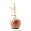 Yolli Toffee Apple Wrappers Clear Polyprop-12 x 12"- (2Pk) Pack