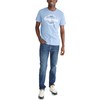 Aero Graphic Circle- Script Aeropostale, Washed Blue, M