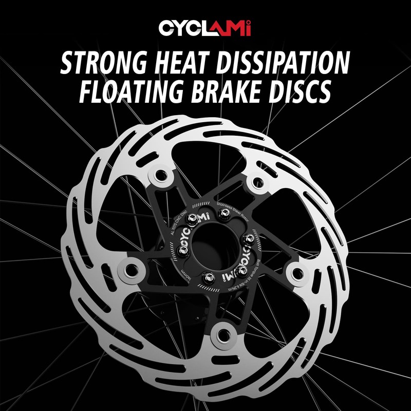 Bicycle Disc Brake Rotor, 160mm, Stainless Steel, for Road and