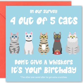 Cult Kitty Funny Cat Birthday Card - 4 Out Of 5 Cats - Birthday Card, Funny Birthday Cards, Cat Birthday Cards for Women, Birthday Card Cat, Funny Cat Card