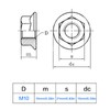 ALEOED 8 Pieces M10 x 1.25mm Serrated Flange Nut Hex