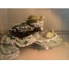 Kathson Reptile Hide Resin Turtles Dock for Aquarium Turtle Basking