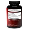 Divine Bounty Pure Berberine Complex - 600mg Per Capsule Berberine