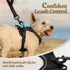 rabbitgoo rabbitgoo Dog Harness No Pull with 2 Leash Clips,