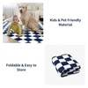 Terrug Navy and White Checkered Rug for Bedroom,3x5 Area Rugs