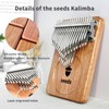 Seeds Kalimba 41 Keys, Advanced Thumb Piano C- Tuned, Chromatic