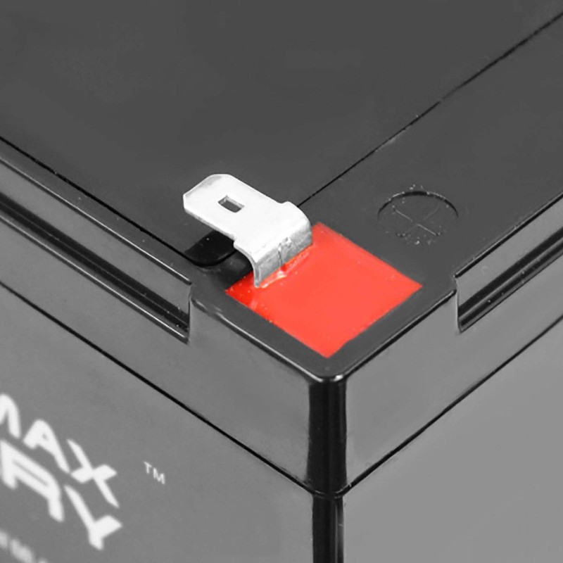 Mighty Max Battery 12V 12AH SLA Battery for Go-Go Elite