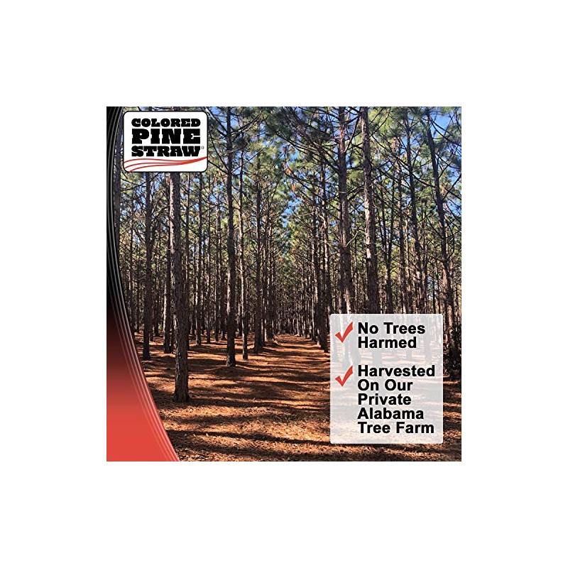 Longleaf Pine Straw Loose in Box for Landscaping - Non-Colored
