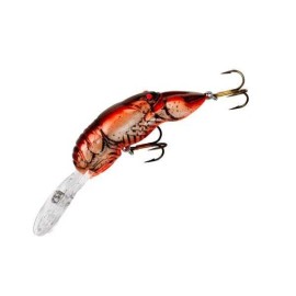 REBEL         Deep  WEE       CRAWFISH       CAJUN CRAWDAD