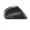 Cherry MW 4500 Mouse JW-4500, Negro