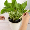 13 Pieces Bonsai Tools Set Succulent Mini Garden Hand Tools
