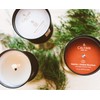 Calyan Wax Co Soy Candle, Apples & Maple Bourbon Scented