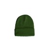 East Eagle Beanie hat, light green