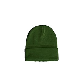 East Eagle Beanie hat, light green