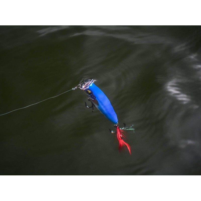 Esca di pesca esca d'élite, 1, 146593