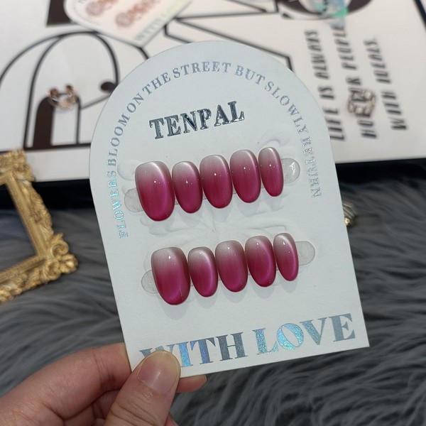 TENPAL Press On Nails 10 Pcs with Tools Kit,Handmade Peach