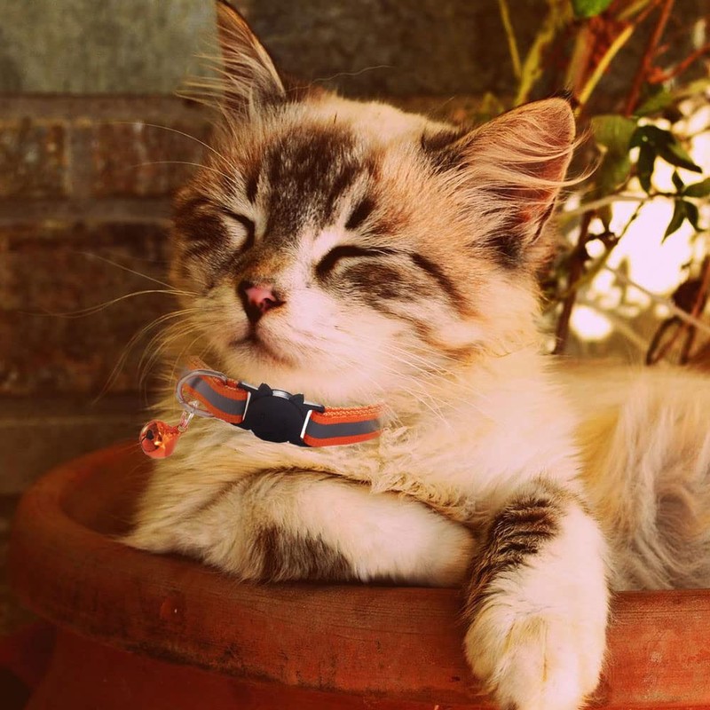 4 Pcs Cat Collars Safe Reflective Cat Collars with Bells